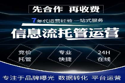 某电商平台的SEM推广策略全解析